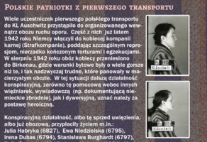 fragment grafiki przedstawiającej kobiety z I transportu